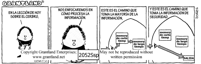  2052Ssp