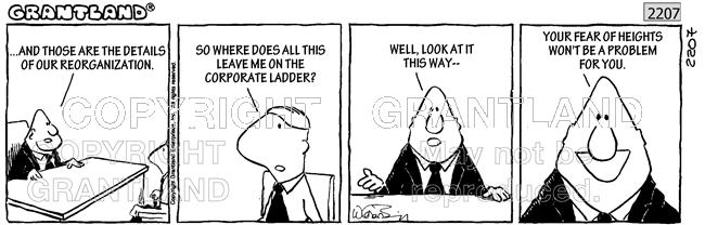 reorganization cartoons 2207