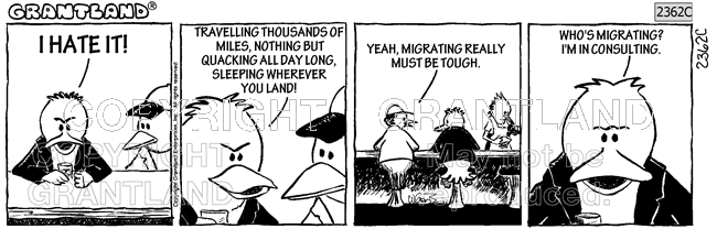 consulting jokes 2362C