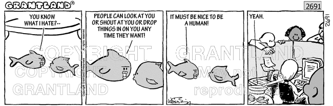 culture humor 2691